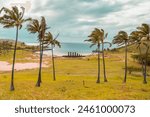 Easter Island (Rapa Nui) Anakena beach with Moai and waving palm trees before the open ocean.