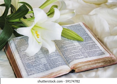 Easter Lily And Bible