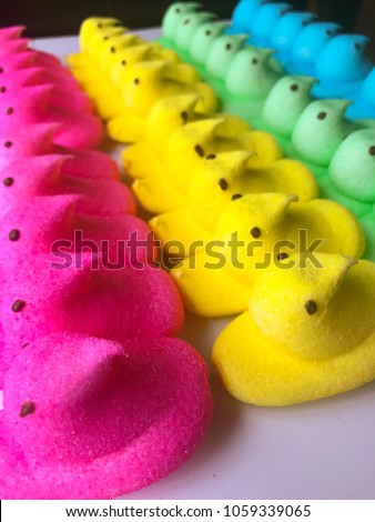 Easter marshmallow peeps candy
