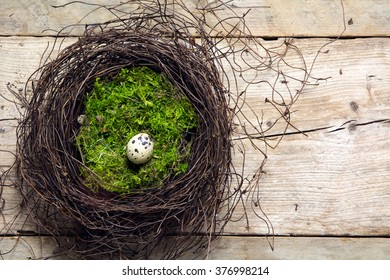 Easter Nest Of Twigs And Green Moss With A Lonely Quail Egg On Rustic Wooden Planks, View From Above With Copy Space