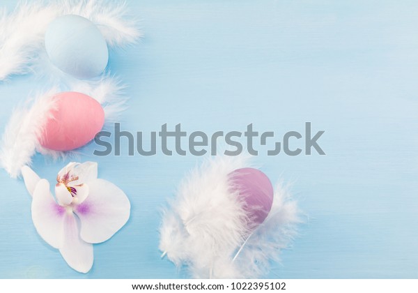 orchid feathers