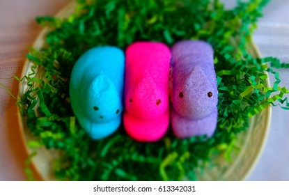 Easter Peeps Marshmallow Candy/green Grass/ White Background. 