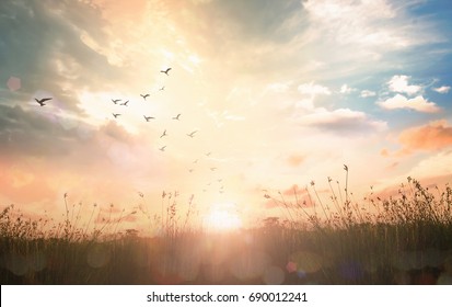 Easter Religious concept: Silhouette birds flying on meadow autumn sunrise landscape background