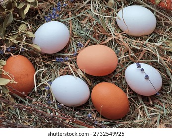 Easter rustic composition.A high-quality rustic still life featuring a variety of organic chicken eggs (white and brown) nestled in dry hay. The composition is decorated with dried lavender sprigs and spring willow catkins, creating a cozy, farm-style atmosphere. Perfect for Easter celebrations, organic food concepts, and healthy lifestyle themes.