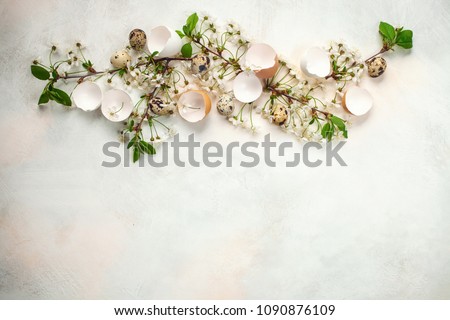 Easter spring background with the blossoming cherry, eggs and a shell. Top view