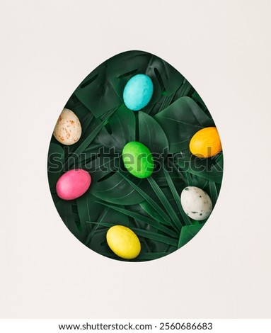 Similar – Image, Stock Photo From above of Easter-themed flatlay featuring a nest with speckled eggs, surrounded by soft feathers and pussy willow branches on a textured background