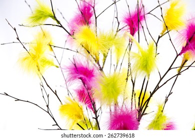 Easter Twigs With Colored Feathers