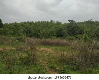 Eastern Ghats Hills Around Villege Beautiful 