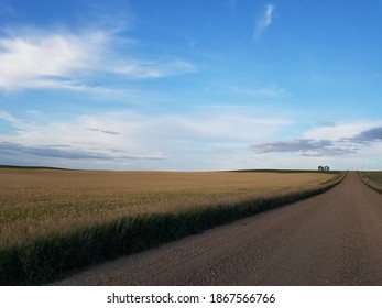 Eastern Montana Farmland Big Sky Country