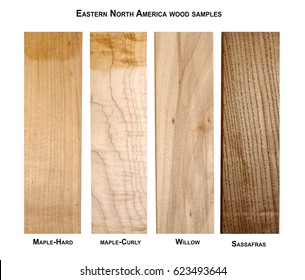 289 Curly maple wood Images, Stock Photos & Vectors | Shutterstock