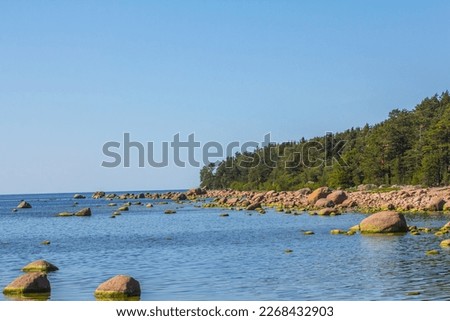 Eastern part of Gulf of Finland, Baltic Sea. Birch Islands. Island coniferous forests (European pine) and marine forb meadows. Abundance of erratic boulders after glaciation epoch, boulder beach