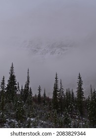 Eastern rock face of rugged Mount Edith Cavell viewed through a gap in the thick fog on cloudy morning in autumn season in Jasper National Park, Alberta, Canada in the Rocky Mountains with forest.