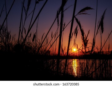 Eastern Shore Sunset