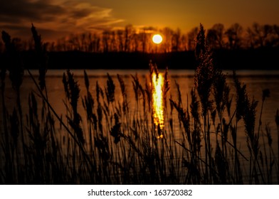 Eastern Shore Sunset II