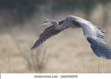 Eastern Shore, Virginia, Chesapeake Bay