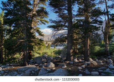 Eastern Sierras: Cottonwood Lakes