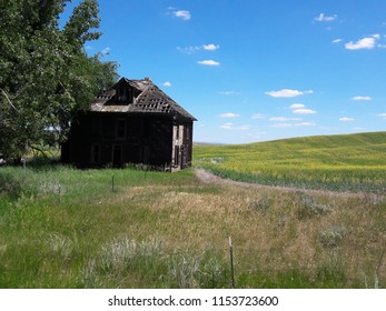 Eastern Washington Homestead