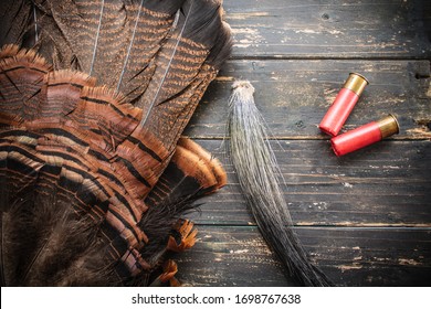 An Eastern Wild Turkey Hunting Background.