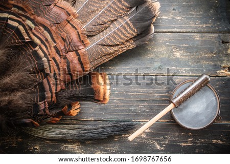 An eastern wild turkey hunting background.