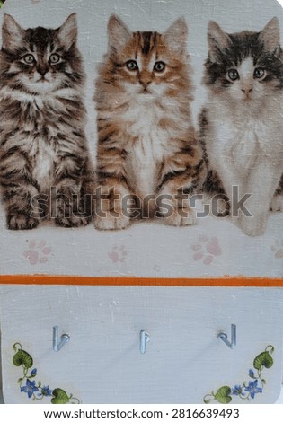 Easy Beginner Decoupage Ideas, Keychain Holder