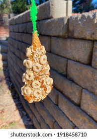 Easy Homemade Sugar-cone Suet Bird Feeder Ornament.         Atlanta, Georgia:   December 20, 2020