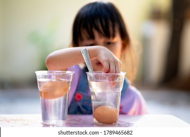 Easy Science Experiment At Home To Learn About The Density Of Salt Water Effect To Floating And Sinking Of The Eggs, Concept Of Child Education And Learning Through Play Activity At Home