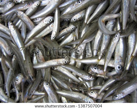 Similar – Image, Stock Photo ANCHOA CLUSTER Chrome