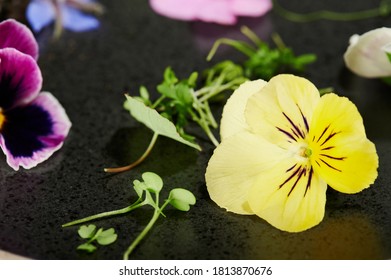 Eatable yellow flower macro close up view on black plate - Shutterstock ID 1813870676