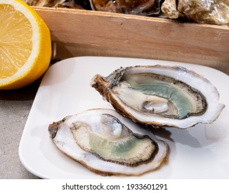Eating of fresh big raw fine de claires vertes green french oysters from Marennes-Oleron, close up