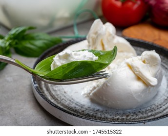 Eating Of Fresh Handmade Soft Italian Cheese From Puglia, White Balls Of Burrata Or Burratina Cheese Made From Mozzarella And Cream Filling Close Up