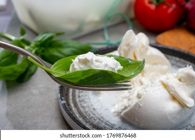 Eating Of Fresh Handmade Soft Italian Cheese From Puglia, White Balls Of Burrata Or Burratina Cheese Made From Mozzarella And Cream Filling Close Up