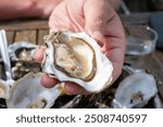 Eating of fresh live oysters with citron, bread and white wine at outdoor farm cafe in oyster-farming village, Arcachon bassin, Gujan-Mestras port, Bordeaux, France in sunny day