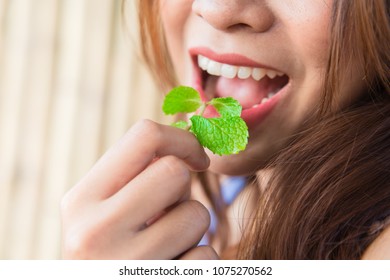 Eating Vegetable Herb Concept: Woman Eat Mint Leaves.