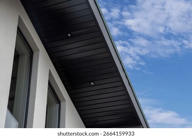 Eaves soffit cladding with black panel and soffit light