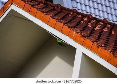 Eaves are the underside of the roof – specifically the part of the roof that attaches to and juts OUT from the house. Eaves direct rainwater or sunlight away from the wall and windows. 