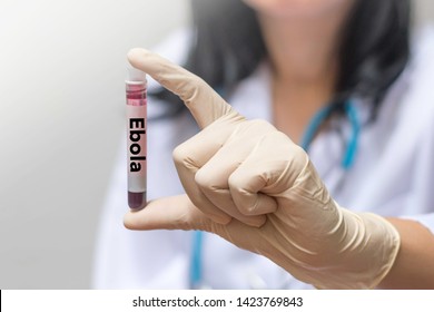 Ebola Virus Disease Concept. Professional Doctor Or Lab Technician In Medical Blue Glove Holding Blood Sample With Zaire Ebolavirus Testing On Tube, Medical And Health Care