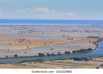 Ebro River And Delta, With Flooded Rice Fields In Terres De L'Ebre In Catalonia, Spain