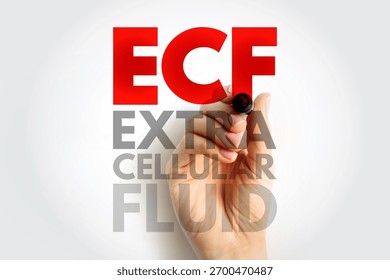 ECF Extra Cellular Fluid text concept. Red acronym with gray lettering, written by a hand with a marker, illustrating medical, biological, and scientific cellular context