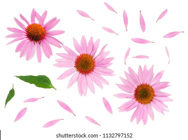 Echinacea flowers isolated on white, top view. - Shutterstock ID 1132797152