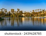 Echo Park Lake with pedal boats and palm trees in Los Angeles, California, photographed at sunset