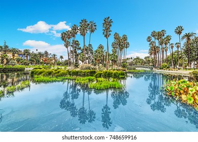 Echo Park Pond In Los Angeles, California