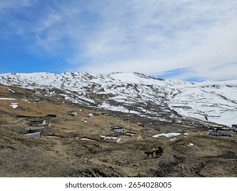 Echoes of distant avalanches or the crunch of snow beneath the footsteps create a soundscape of solitude and wildness
