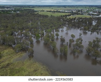 Echuca, Victoria, Extreme Flooding From The Murray River And Campaspe River  Heavy Spring Rain 2022