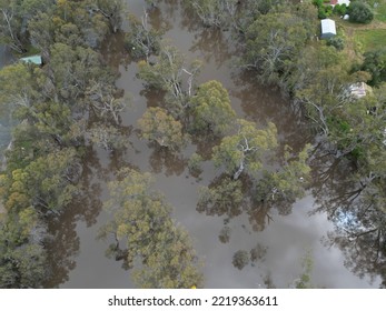 Echuca, Victoria, Extreme Flooding From The Murray River And Campaspe River  Heavy Spring Rain 2022