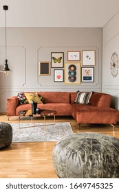 Eclectic living room interior with comfortable velvet corner sofa with pillows