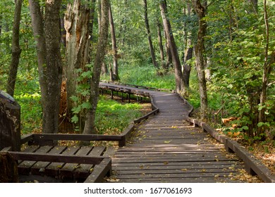 Eclogical Trails In The Voronezh State Nature Reserve Named After Peskov, Russia.