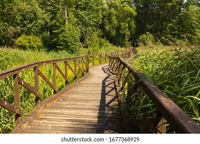 Eclogical Trails In The Voronezh State Nature Reserve Named After Peskov, Russia.