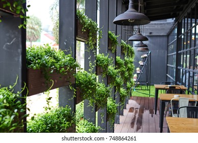 Eco architecture. Green cafe with hydroponic plants on the facade. Ecology and green living in city, urban environment concept. Modern building covered green plant. Abstract  background.