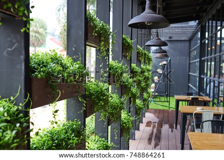 Eco architecture. Green cafe with hydroponic plants on the facade. Ecology and green living in city, urban environment concept. Modern building covered green plant. Abstract  background.