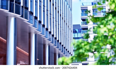 Eco Architecture. Green Tree And Glass Office Building. The Harmony Of Nature And Modernity. Reflection Of Modern Commercial Building On Glass With Sunlight. 